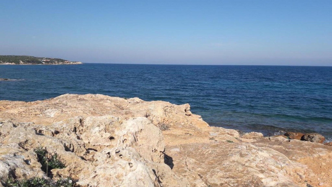 Photo of Others in Rafina-Pikermi