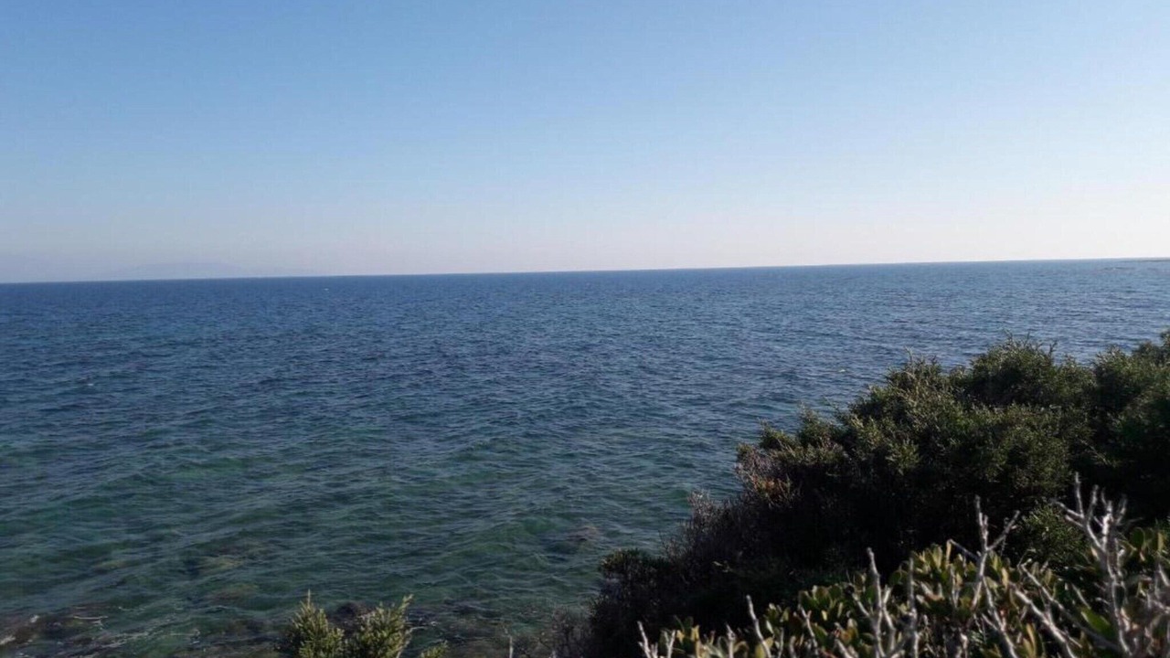 Photo of Others in Rafina-Pikermi