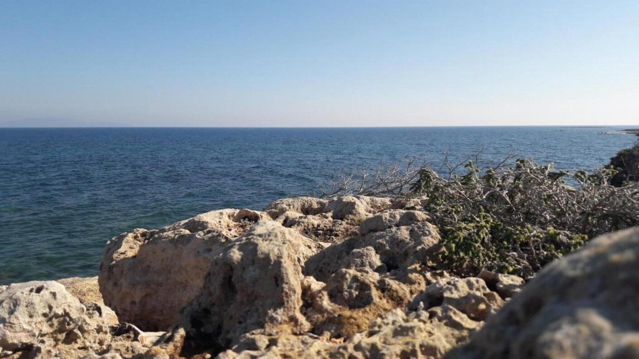 Photo of Others in Rafina-Pikermi