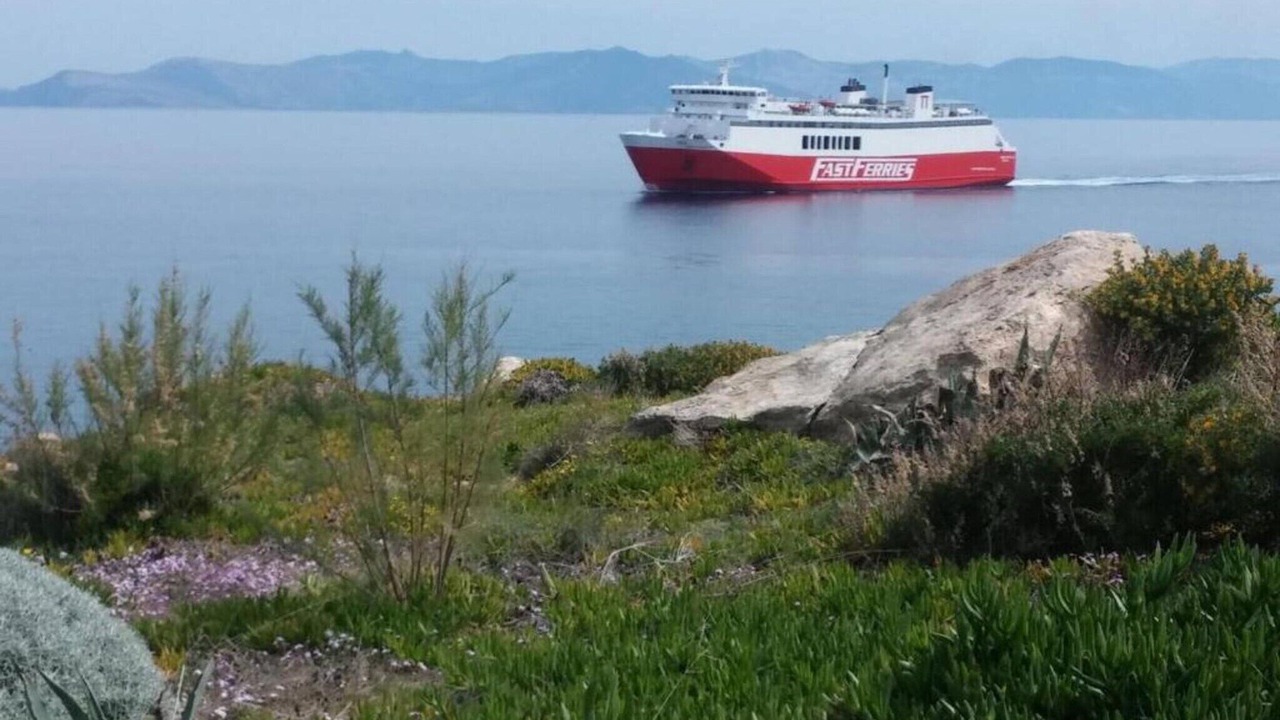 Photo of Others in Rafina-Pikermi