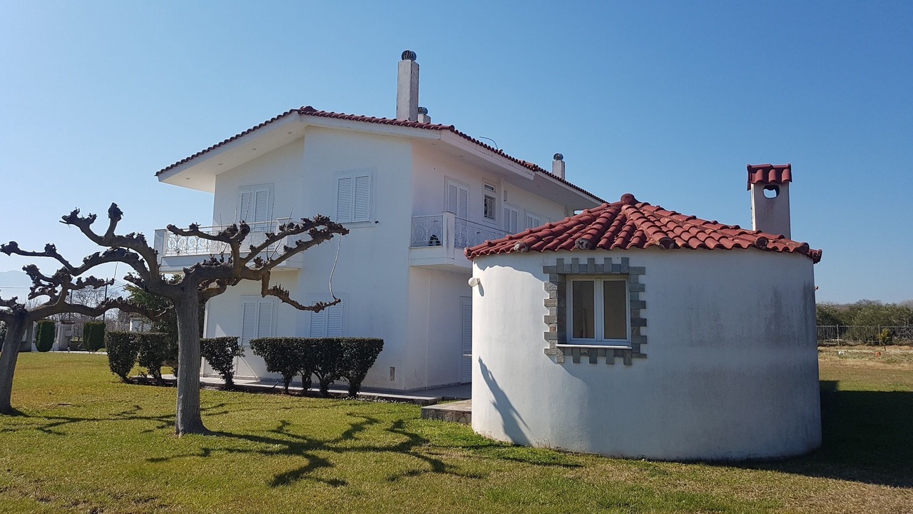 Photo of Outdoor in Stylida