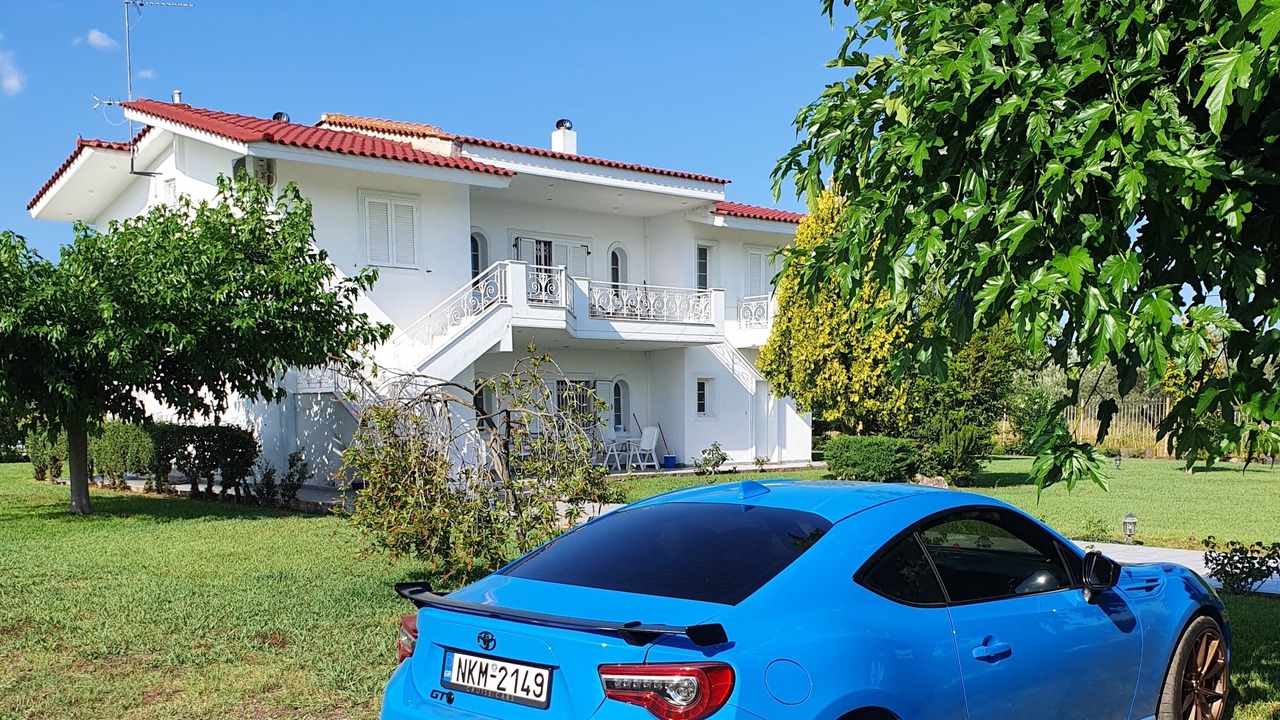 Photo of Outdoor in Stylida