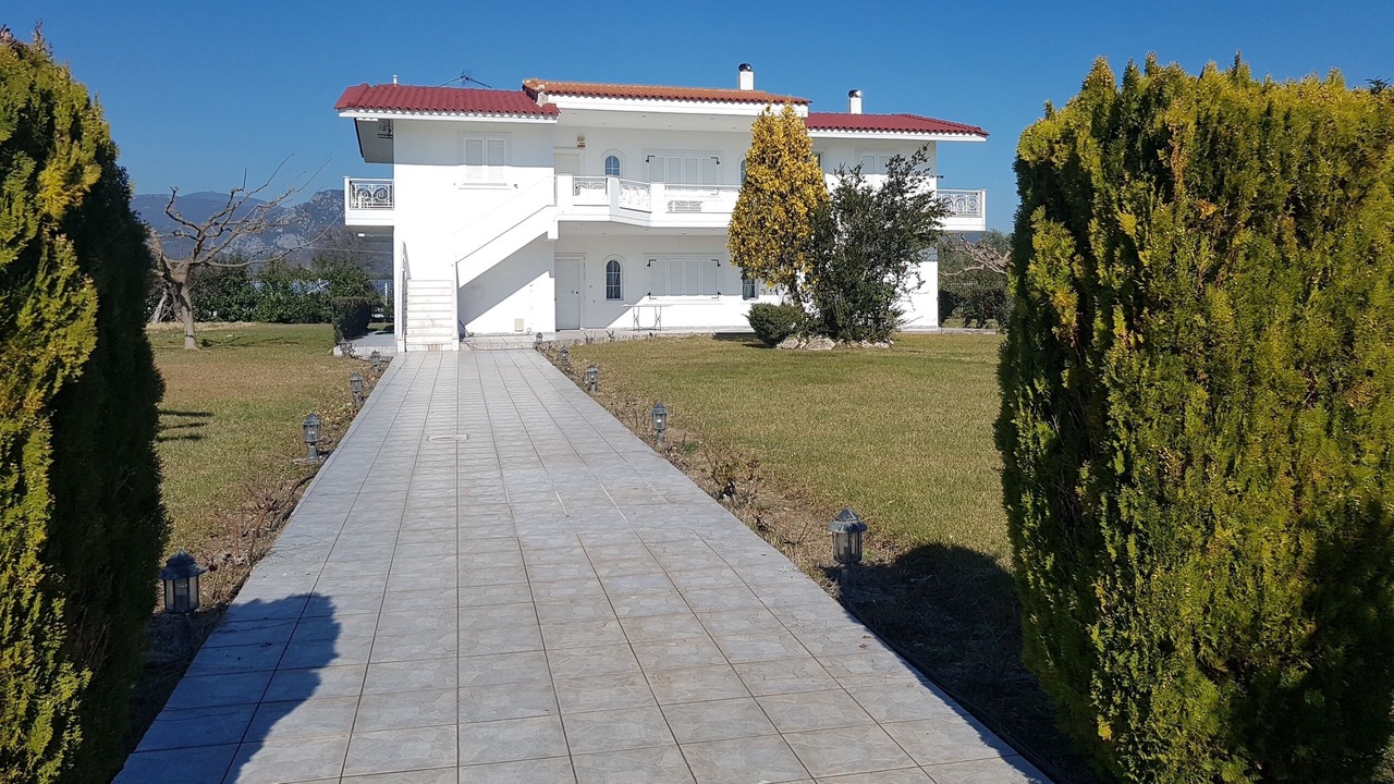 Photo of Outdoor in Stylida