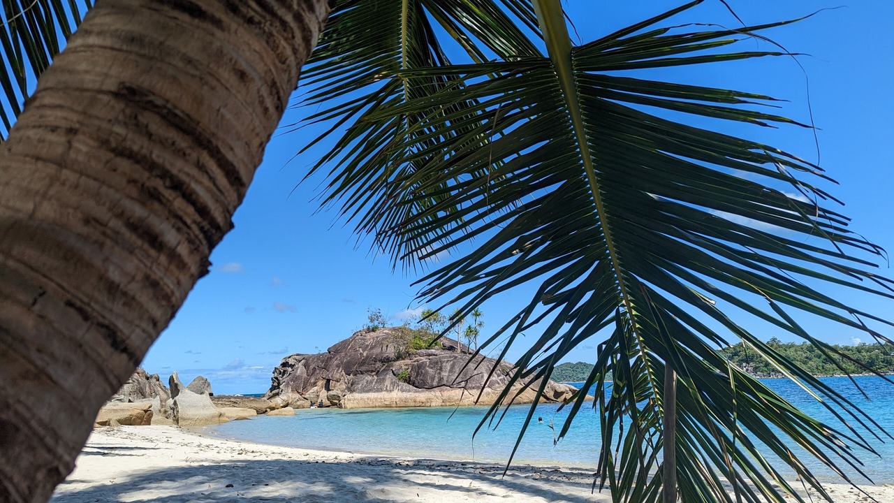 Photo of Others in Bedarra Island