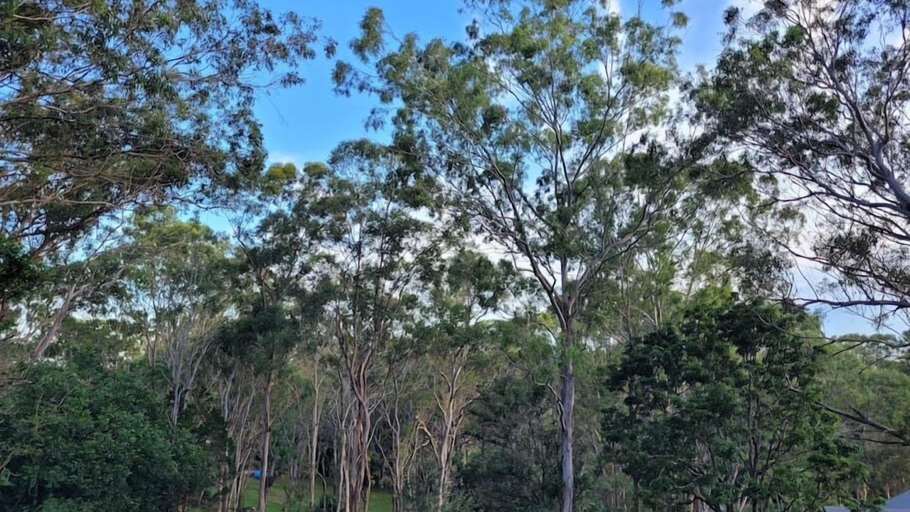 Photo of Others in Middle Ridge