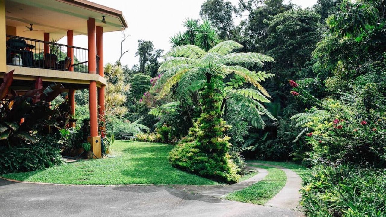 Photo of Outdoor in Kuranda