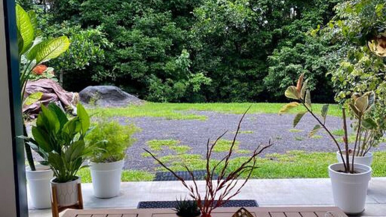 Photo of Outdoor in Kuranda