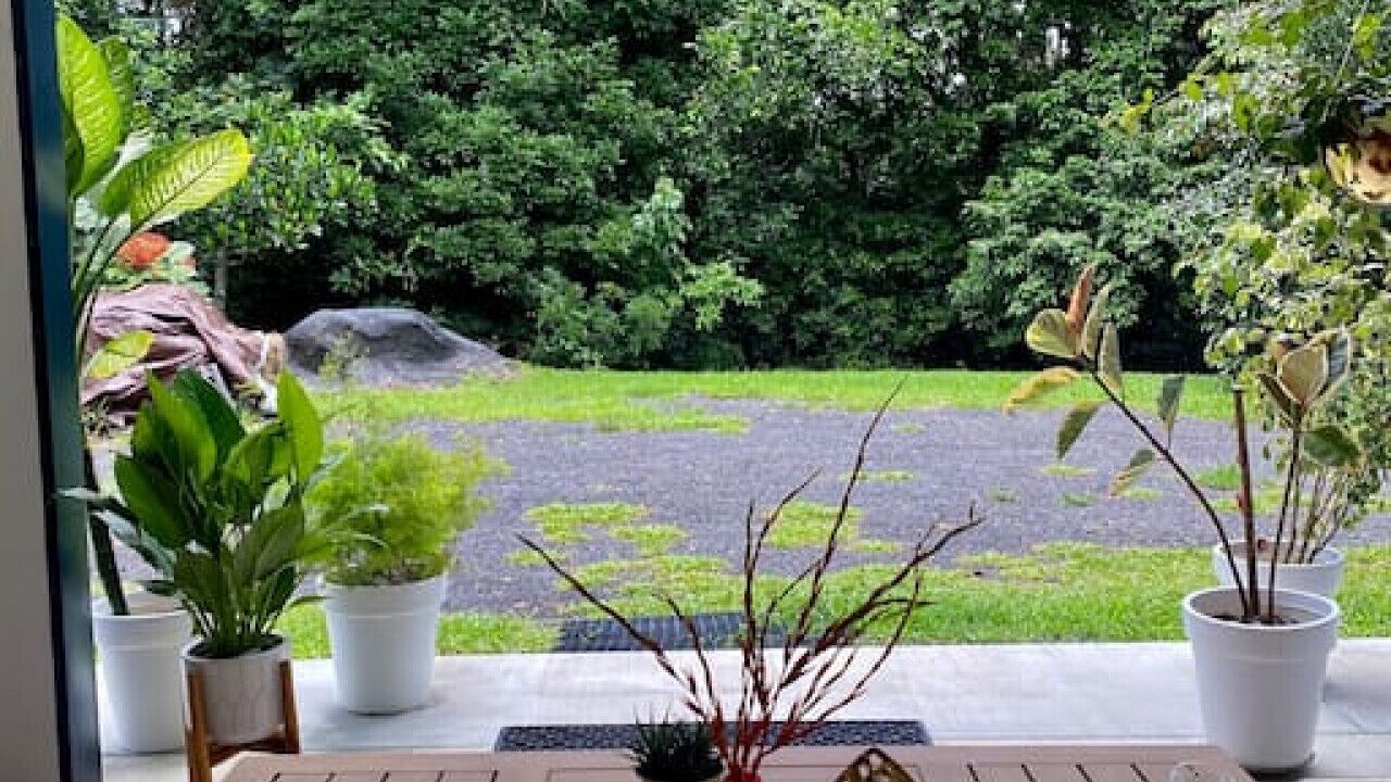 Photo of Outdoor in Kuranda