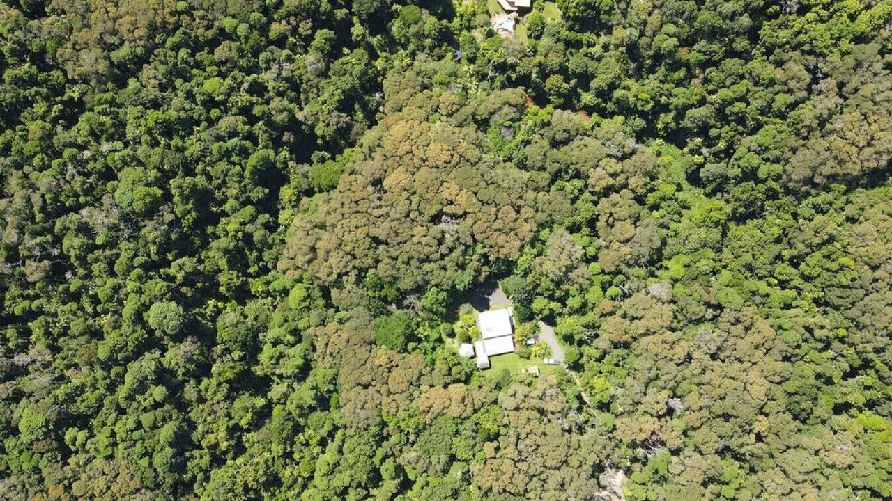 Photo of Outdoor in Kuranda