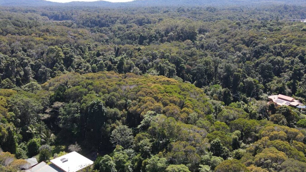 Photo of Outdoor in Kuranda