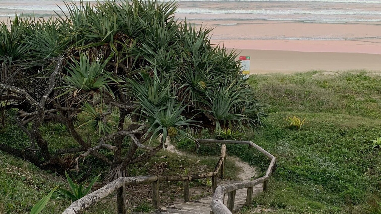 Photo of Others in Noosa North Shore