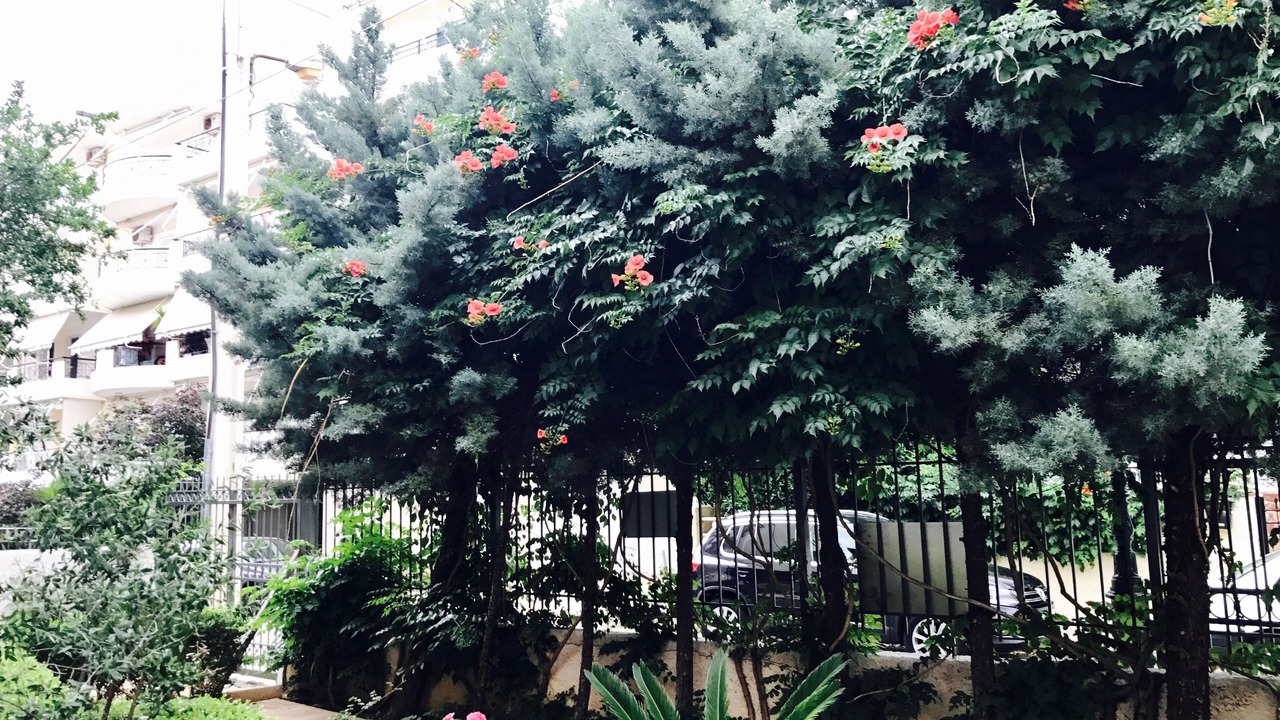Photo of Outdoor in Loutraki