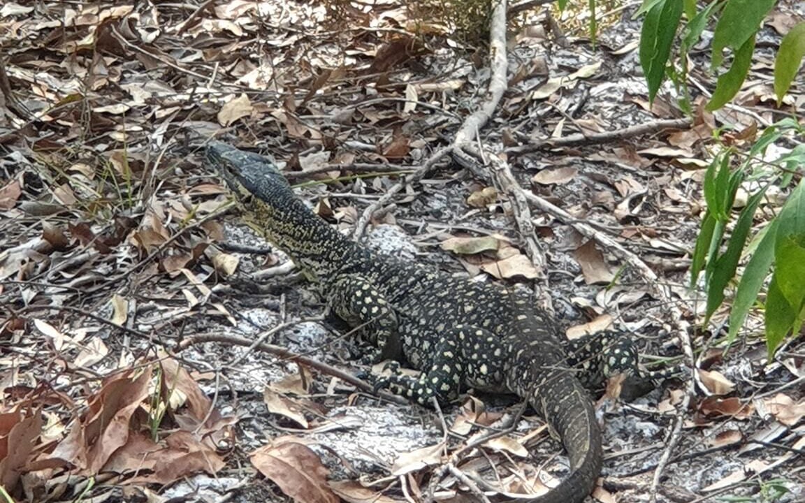 Photo of Others in Kingfisher Bay