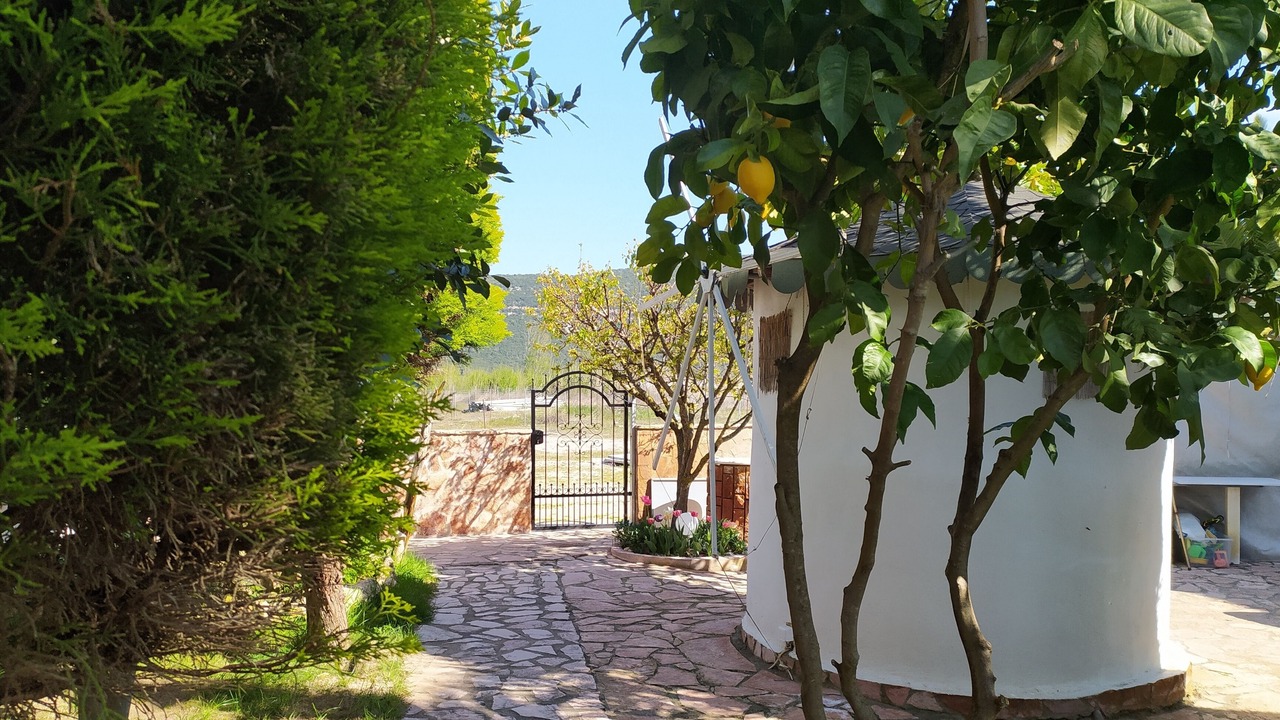 Photo of Outdoor in Ammoudia