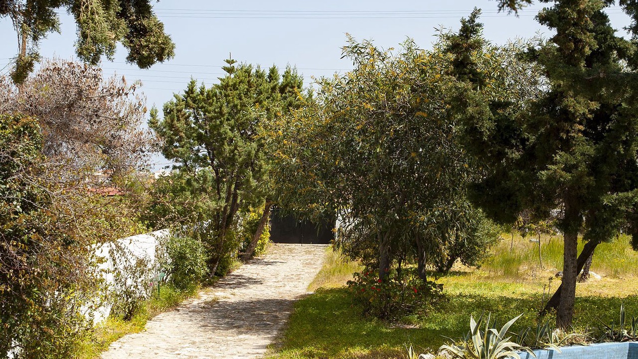 Photo of Outdoor in Aegina