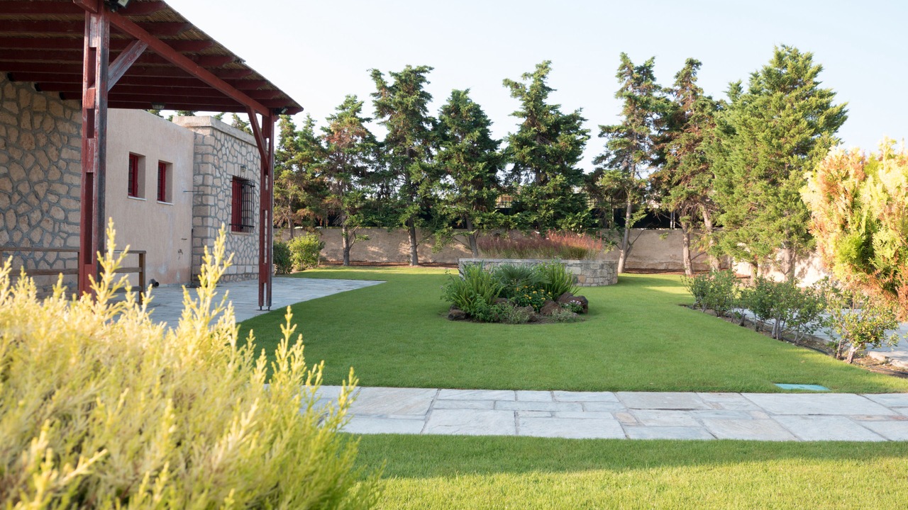 Photo of Outdoor in Aegina