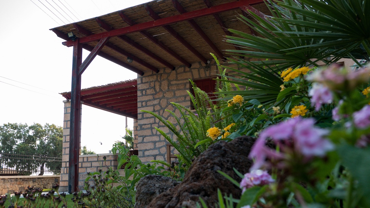Photo of Outdoor in Aegina