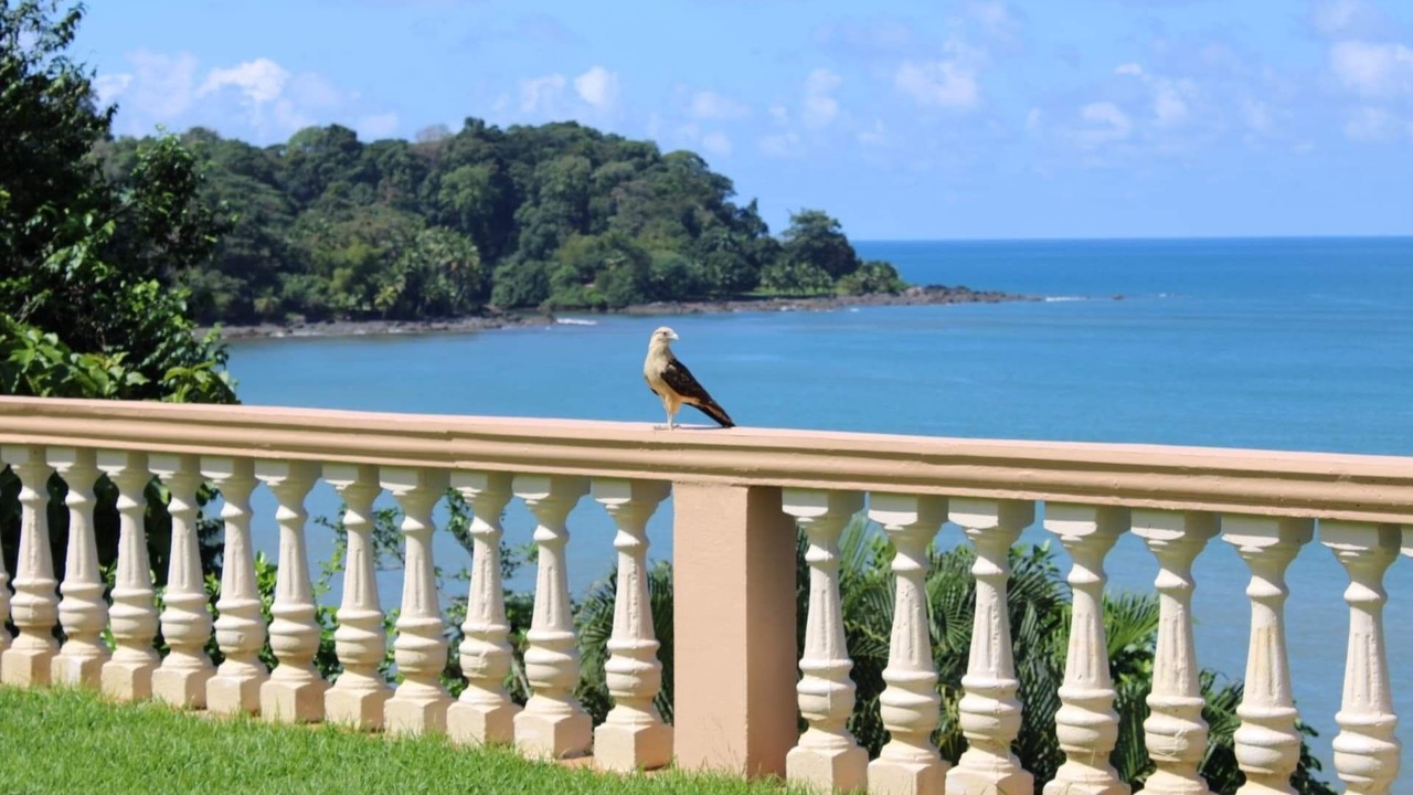Photo of Outdoor in Drake Bay