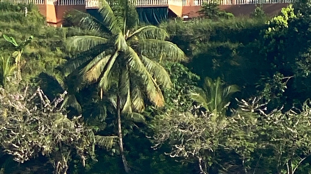Photo of Outdoor in Drake Bay