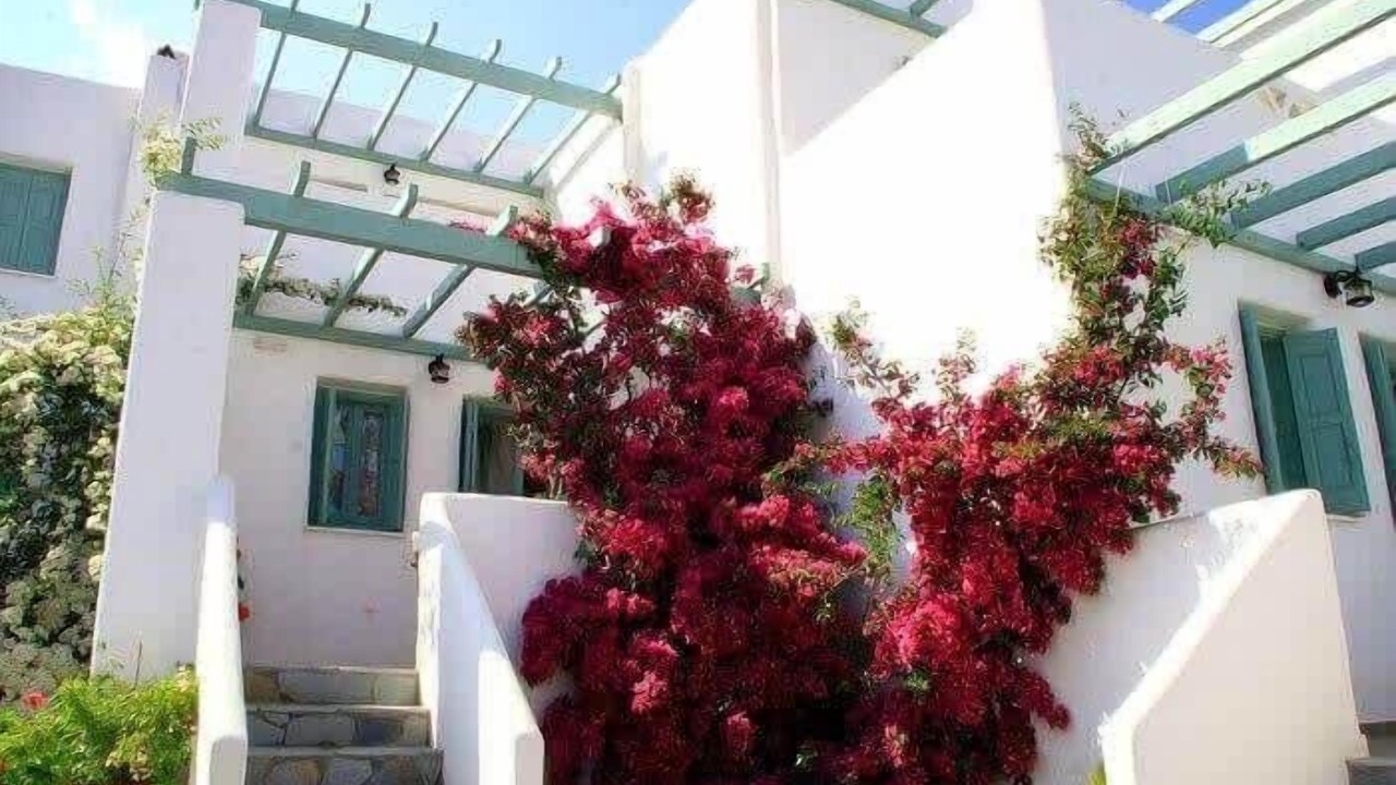 Photo of Outdoor in Skiros
