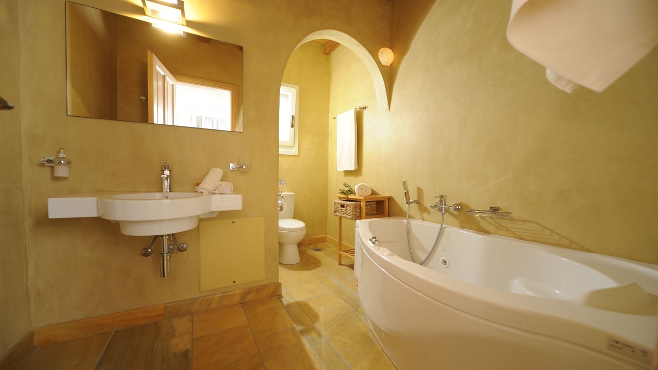 Photo of Bathroom in Andros