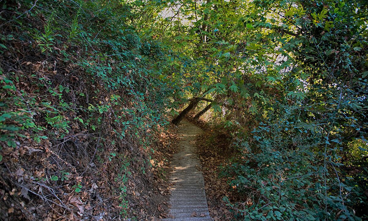 Photo of Outdoor in Livadi
