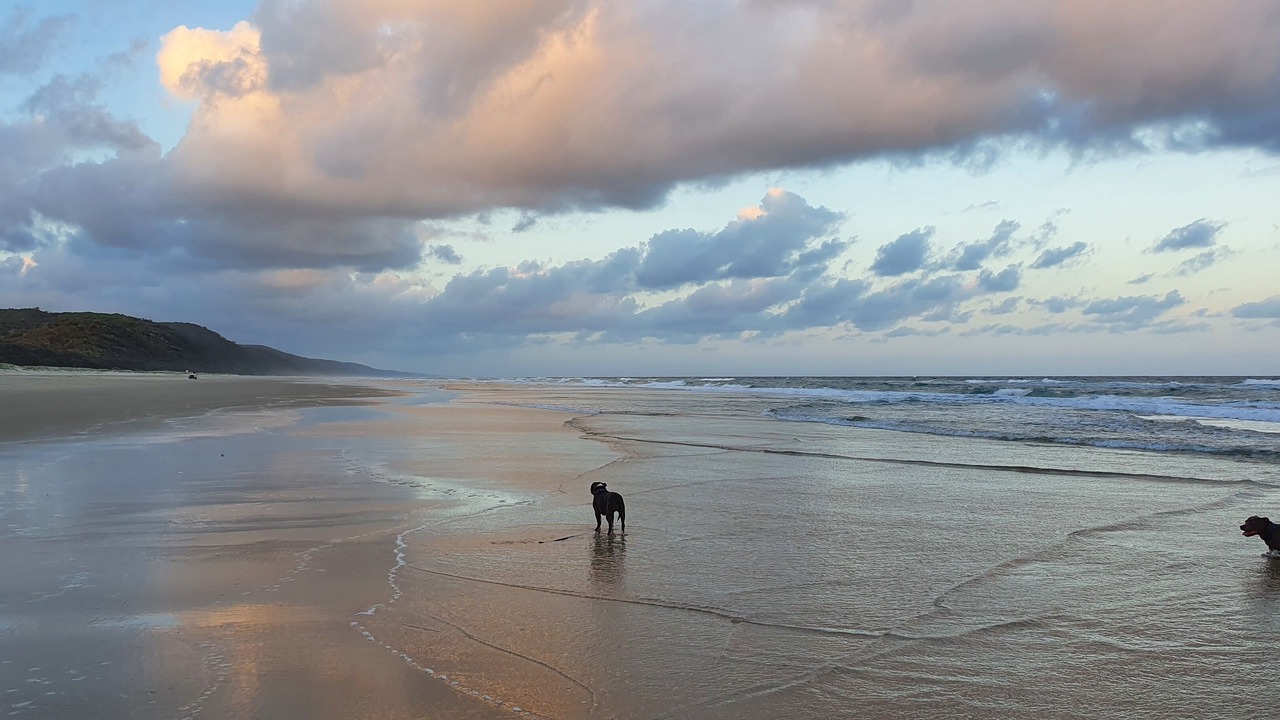Photo of Others in Noosa North Shore