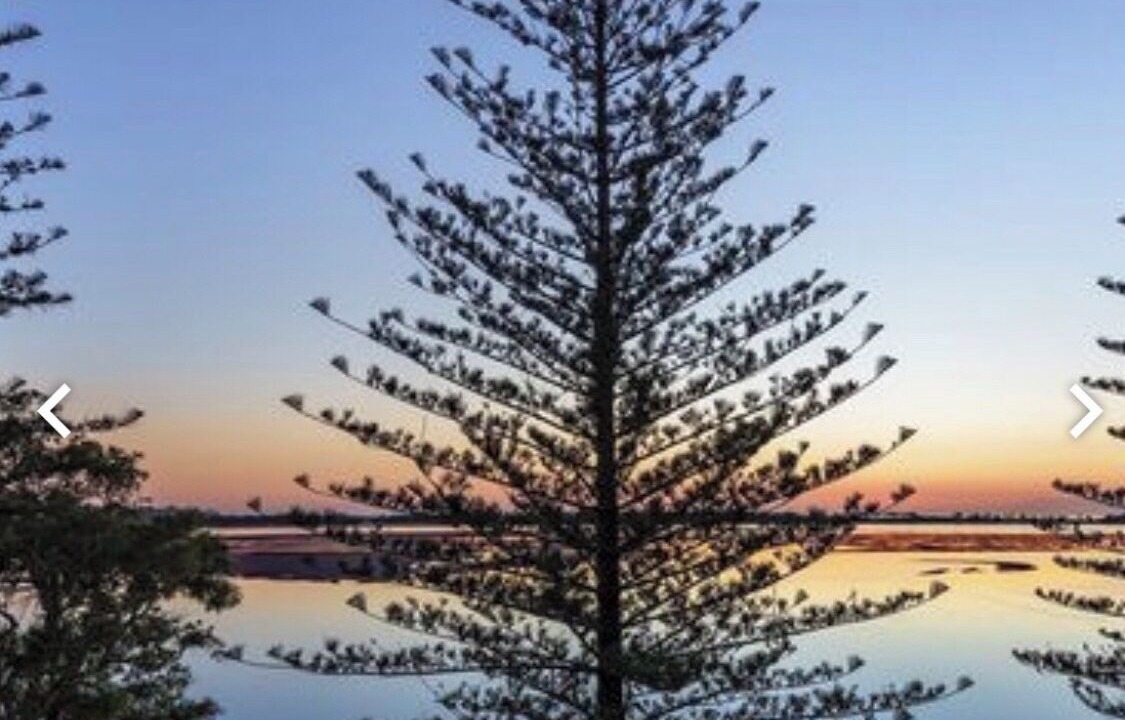 Photo of Outdoor in Golden Beach
