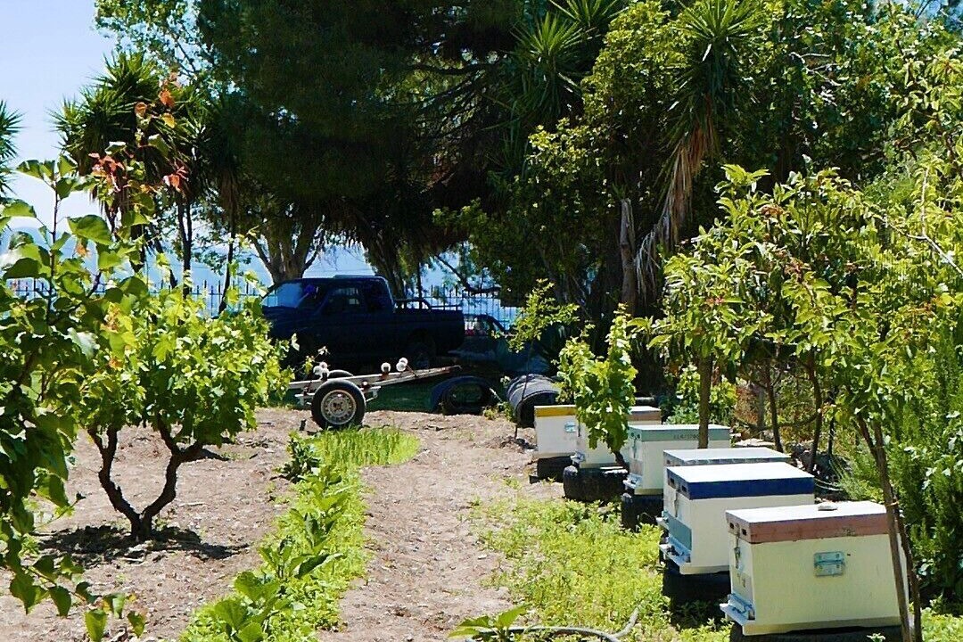 Photo of Outdoor in Amarinthos