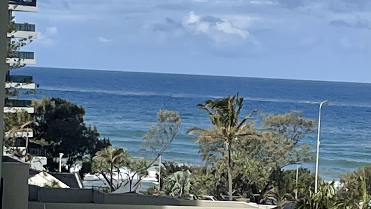 Photo of Outdoor in Surfers Paradise
