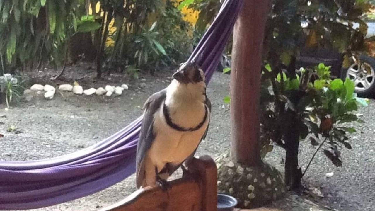 Photo of Outdoor in Cabuya