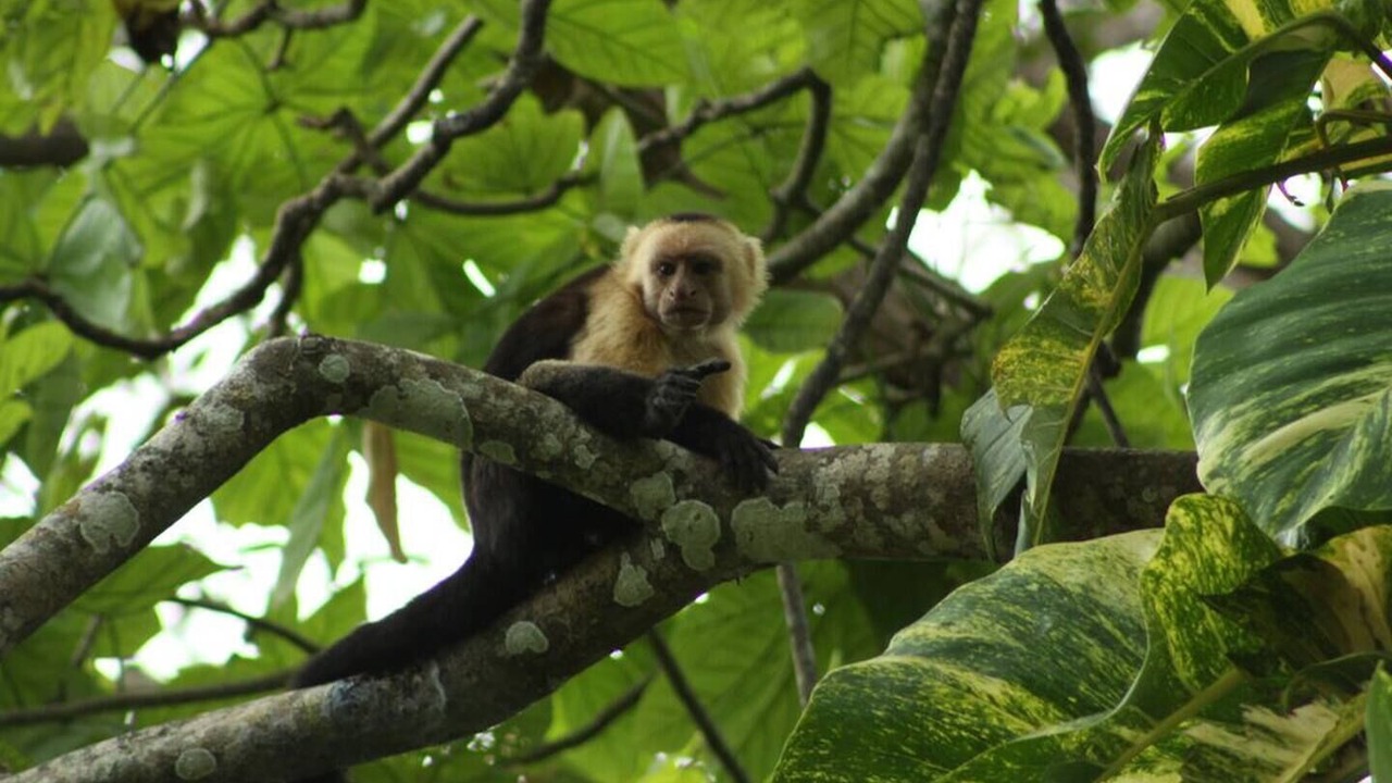 Photo of Outdoor in Cabuya