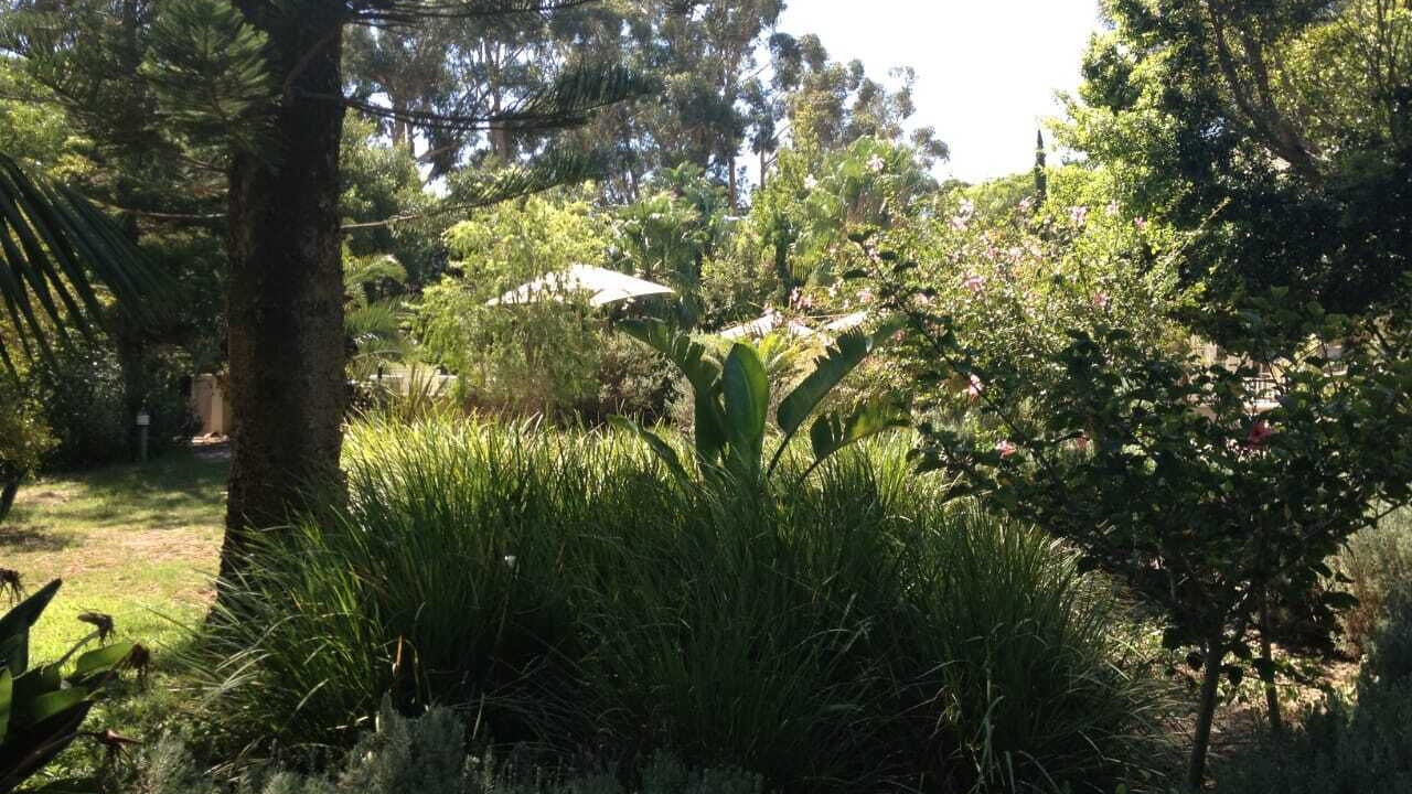 Photo of Outdoor in Somerset West