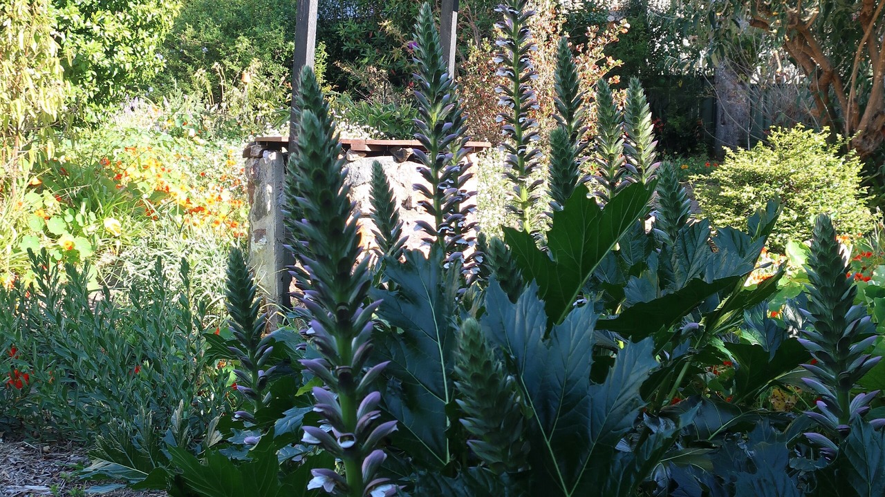 Photo of Outdoor in Eagle Heights