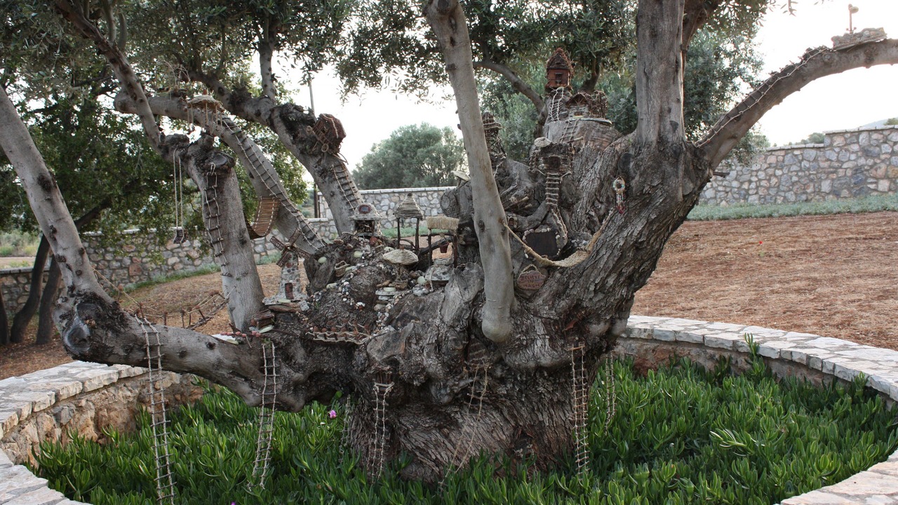 Photo of Others in Eretria