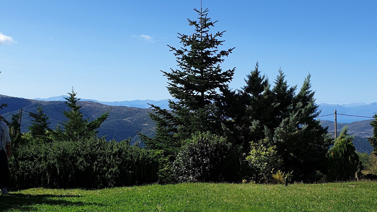 Photo of Others in Arachova