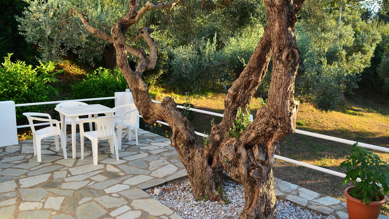 Photo of Outdoor in Stafylos