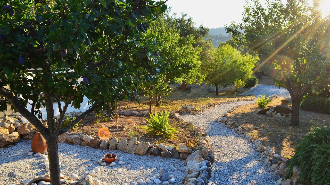 Photo of Outdoor in Stafylos