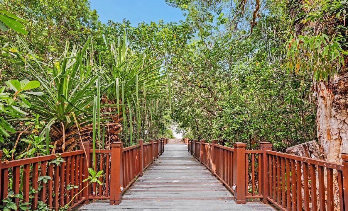Photo of Outdoor in Palm Cove