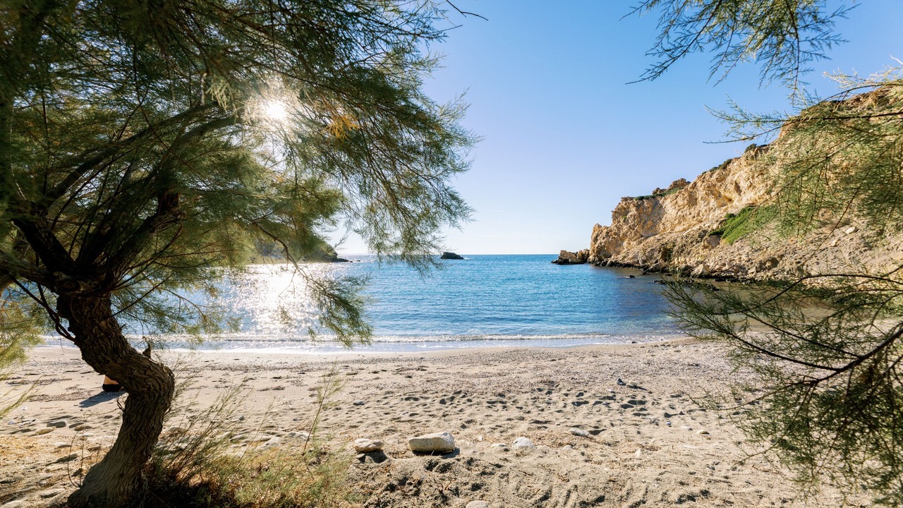 Photo of Others in Naxos