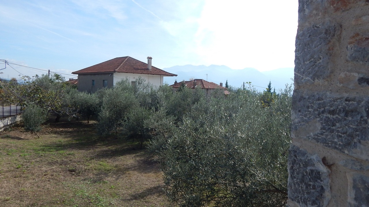 Photo of Outdoor in Kefalochori