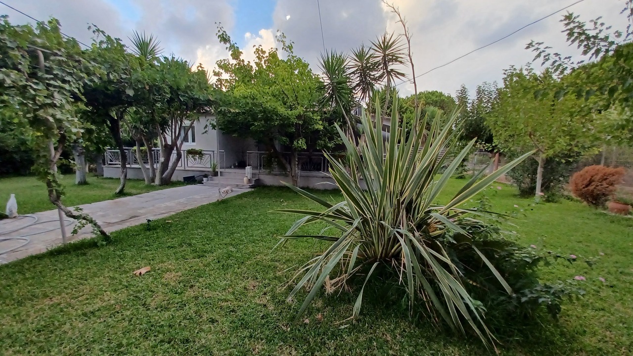 Photo of Outdoor in Katakolo