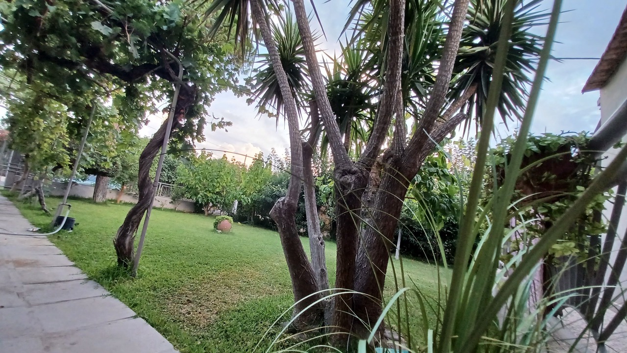 Photo of Outdoor in Katakolo