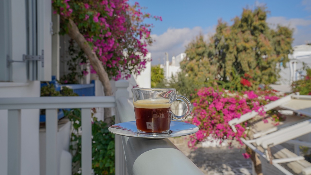 Photo of Others in Mykonos