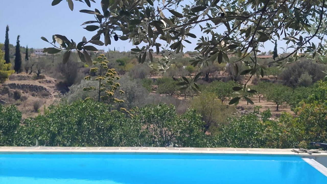 Photo of Outdoor in Ayioi Asomatoi