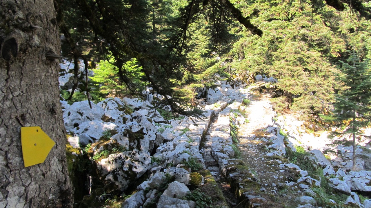 Photo of Outdoor in Theodoriana