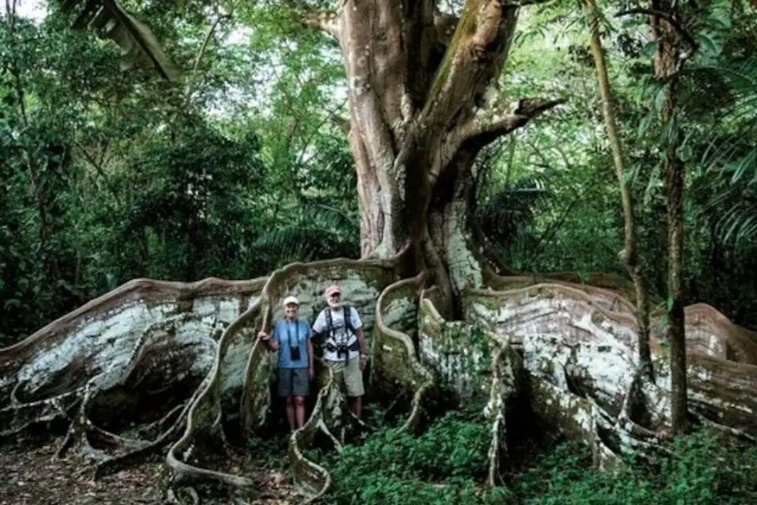 Photo of Outdoor in Cascada Azul