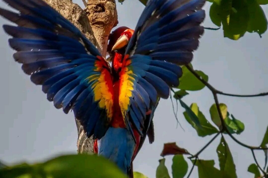 Photo of Others in Cascada Azul