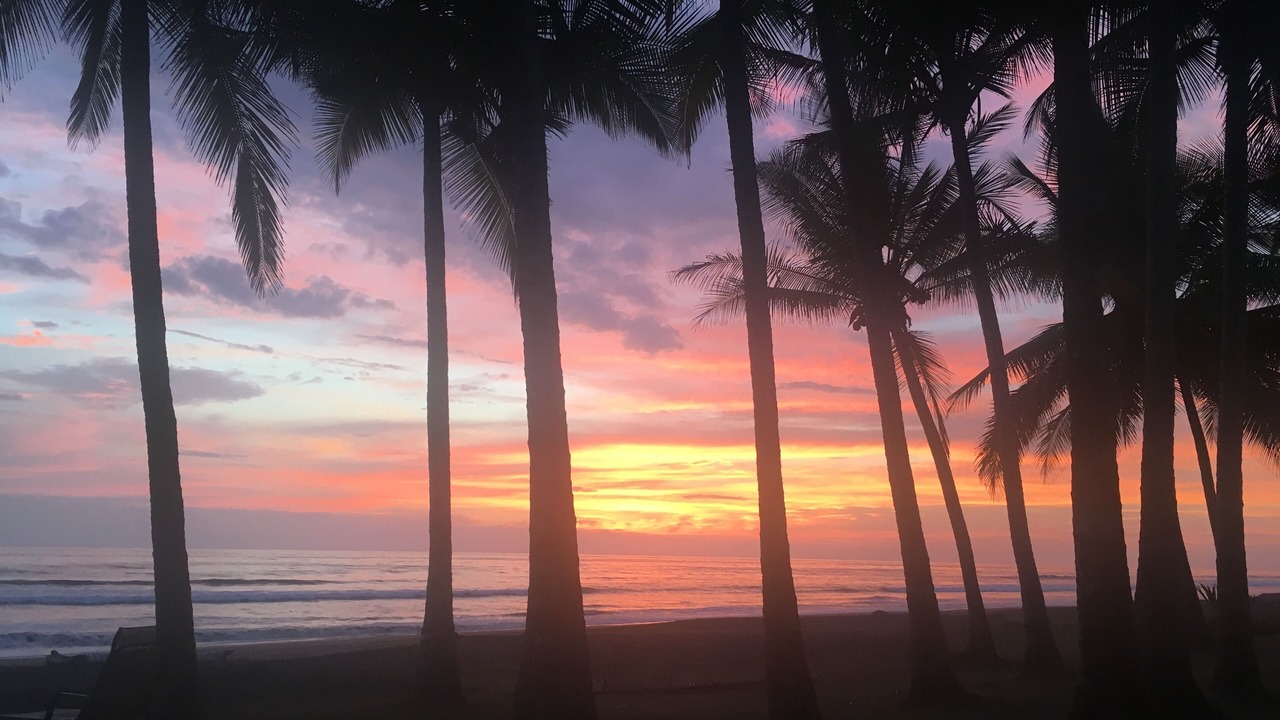 Photo of Others in Playa Hermosa