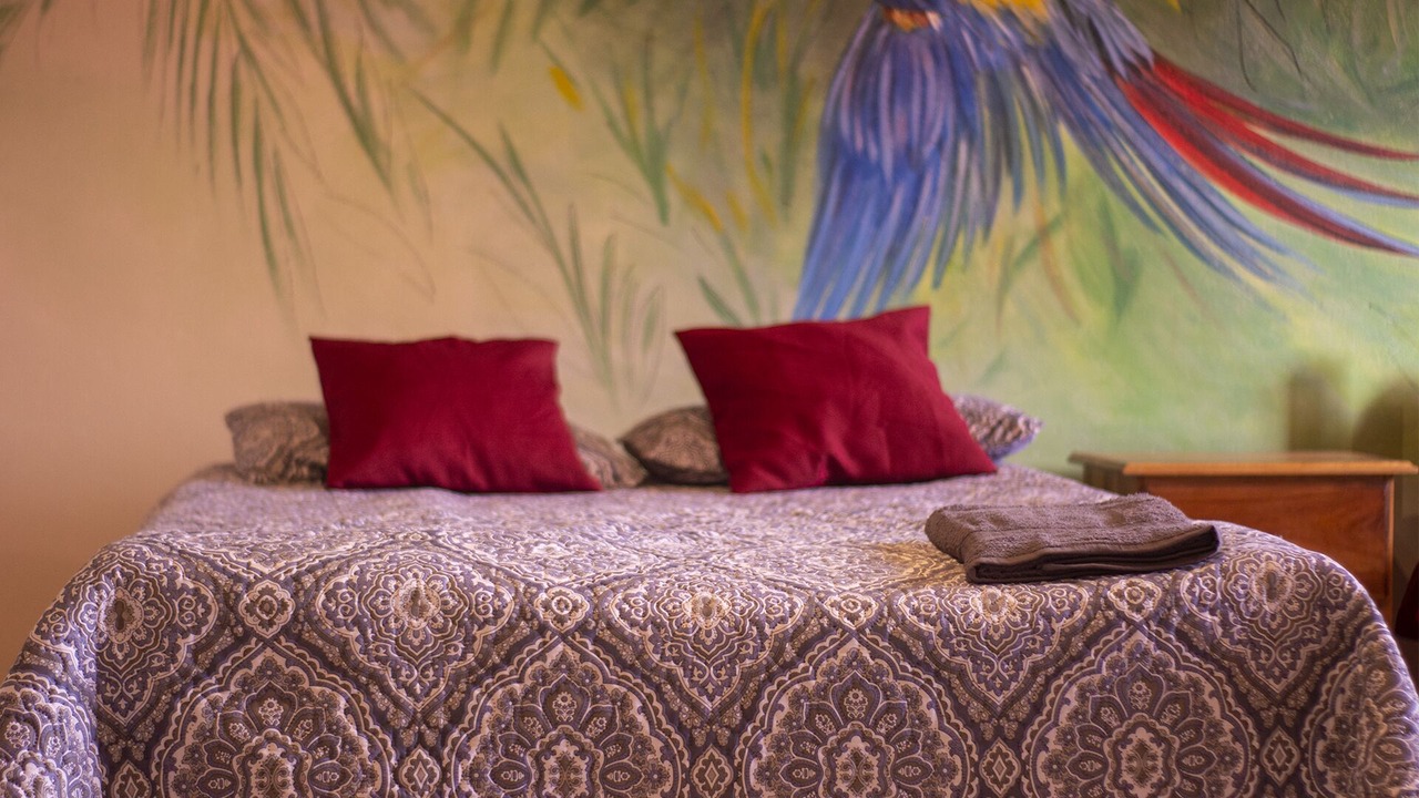 Photo of Bedroom in La Tigra